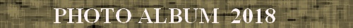 XibvEtHg