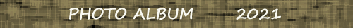 XibvEtHg